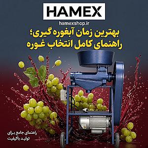 بهترین زمان آبغوره گیری؛ راهنمای کامل انتخاب غوره مناسب و زمان‌بندی برداشت