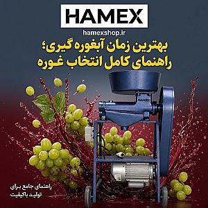 بهترین زمان آبغوره گیری؛ راهنمای کامل انتخاب غوره مناسب و زمان‌بندی برداشت